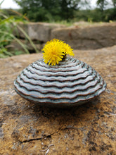 Load image into Gallery viewer, Lt. Blue Carved 'Disc' Vase
