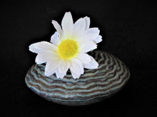 Load image into Gallery viewer, Lt. Blue Carved 'Disc' Vase
