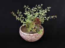 Load image into Gallery viewer, Lt. Shino Carved 'Bowl' Vase
